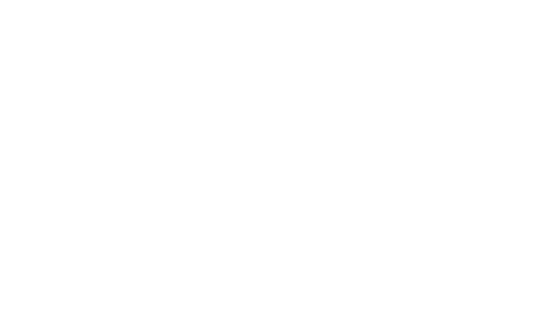 Module Dog Logo